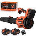 MAXLANDER Cordless Leaf & Snow Blower, 600CFM 200MPH 5-Speed Electric Blower with 2×3.0Ah Batteries & Charger for Yard, Patio & Snow Removal