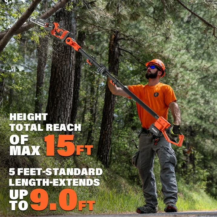 MAXLANDER 2-in-1 20V Cordless Pole Saw & Mini Chainsaw, 8in Bar, 14ft Max Reach, 2 Replacement Chains, 2×Batteries & Charger for Tree Trimming